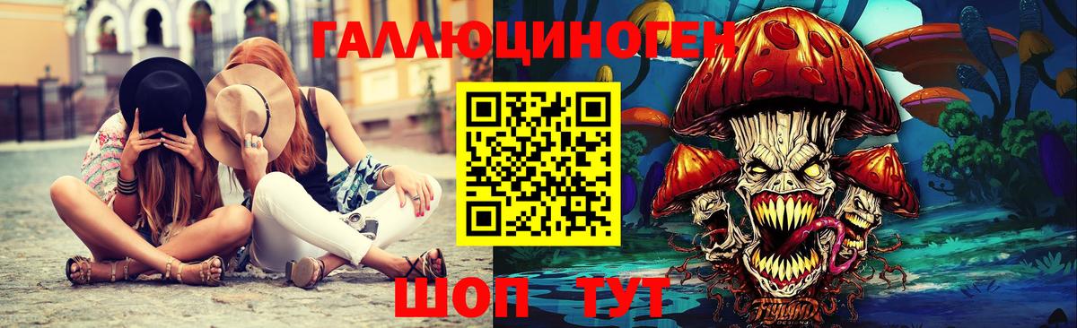 Новошахтинск  Галлюциногенные грибы Psilocybe  Вход с VPN 